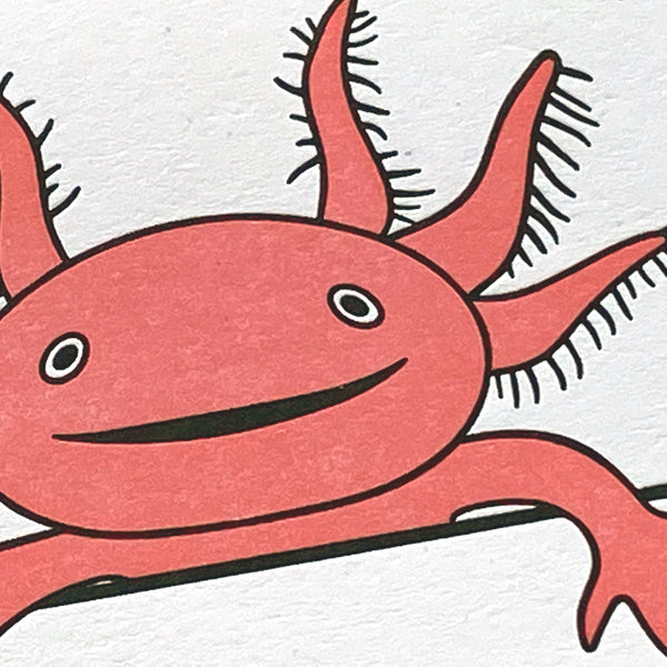 Axolotl Thanks Greeting Card LadyPilotLetterpress Axolotl Thanks Greeting Card LadyPilotLetterpress